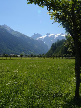 paisaje en calma