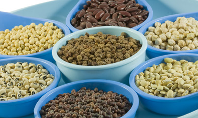 Different types of Beans and Pulses in Containers