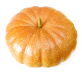 halloween pumpkin