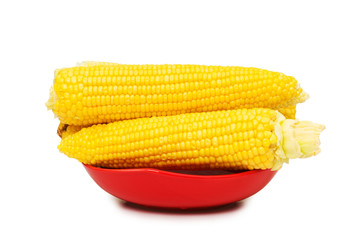 Corn cobs  isolated on the white background