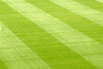 Fototapeta premium Trawnik na stadionie piłkarskim