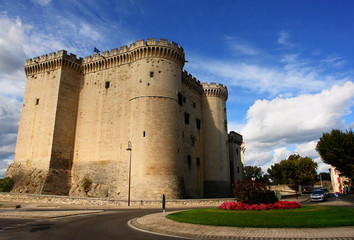 Fototapeta na wymiar Chateau de Tarascon