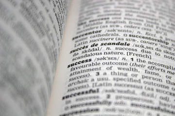 dictionary-success