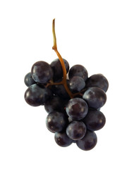 close up of grapes over white