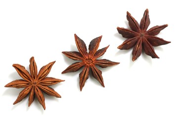 Sternanis