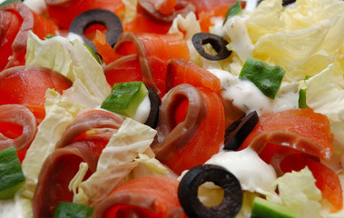 closeup of delicious salmon salad