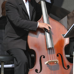 Double bass player