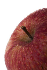 detail of a fresh and wet red apple