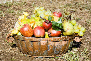 Basket full of autumn fruits. With clipping path