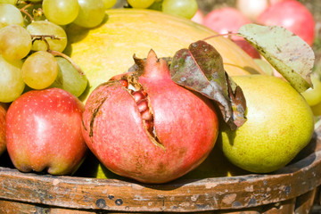 Basket full of autumn fruits.