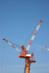 crane