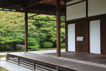 Japanese ZEN garden