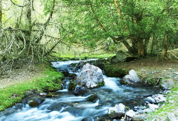 Fototapeta na wymiar Blue creek