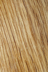 Wood oak texture.