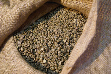 Fototapeta premium Frische Kaffeebohnen