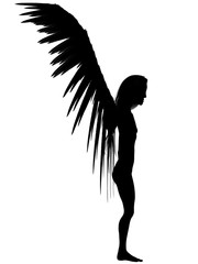 3D rendered angel silhouette,unfolded wings,white background.