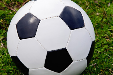 Fototapeta premium Soccer ball on the grass