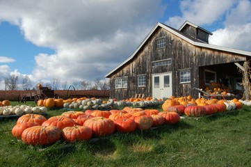Pumpkin barn © nedjenn
