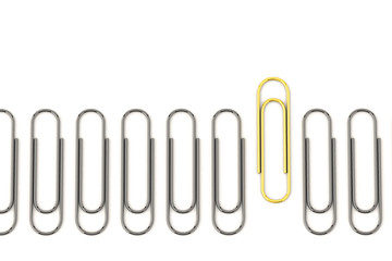 Golden paper clip standing out amongst silver paper clips