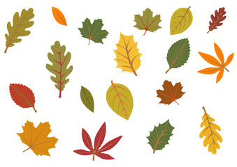 autumn leaves isolated on white background