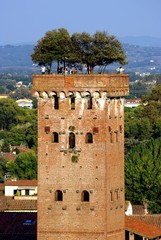 Lucca, Torre Guinigi 1
