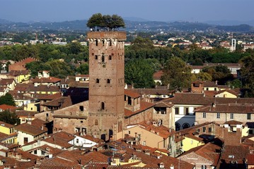 Fototapeta na wymiar Lucca, Torre Guinigi 3