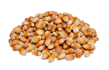 Heap of filberts isolated on white.