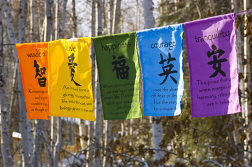 Buddhist prayer flags strung between trees in the winter