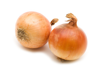 two onion on white background