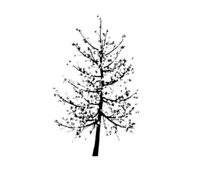 arbre vectoriel