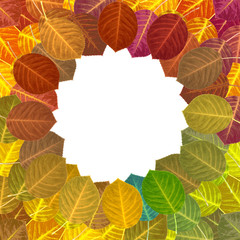 Obraz premium Hebstblätter