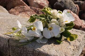 bouchet © Silvio Tamberi