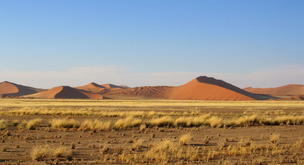 Fototapeta na wymiar dunes du namib