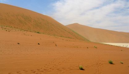 dunes (namib)