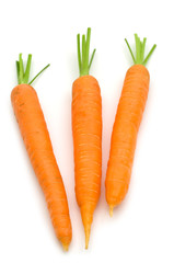 three carrots on white background