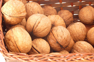 walnut