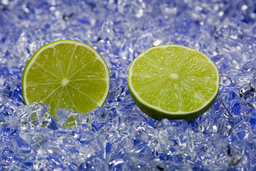 Limette in eisigem Umfeld - Limone in eisigem Umfeld