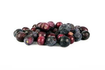 Olive Nere 12