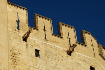 Palais des papes,Avignon,Vaucluse