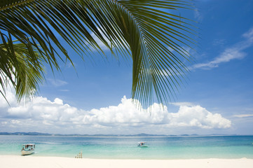 Fototapeta na wymiar beach with coconut tree as foreground
