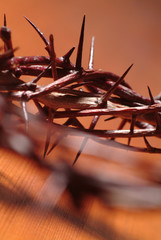 Crown of Thorns