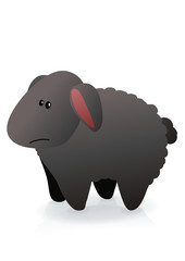 Mouton noir (reflet)