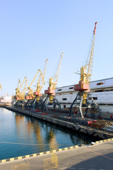 Fototapeta premium Cranes in the port ready to unload the cargo