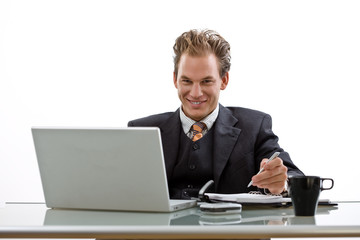 Businessman working on laptop computer, smiling,