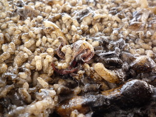 Paella