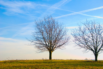 Fototapeta premium village