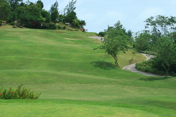 Fototapeta premium le célèbre golf du lémuria à Praslin aux Seychelles
