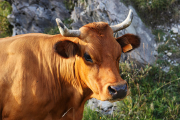 portrait de tarine