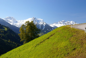 Fototapeta premium Traumstraße