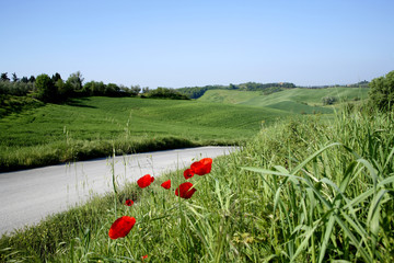 strada campagna